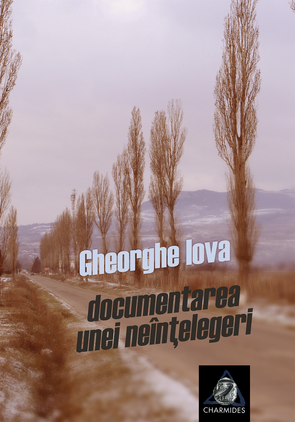 Copertă Documentarea unei neînțelegeri - Gheorghe Iova